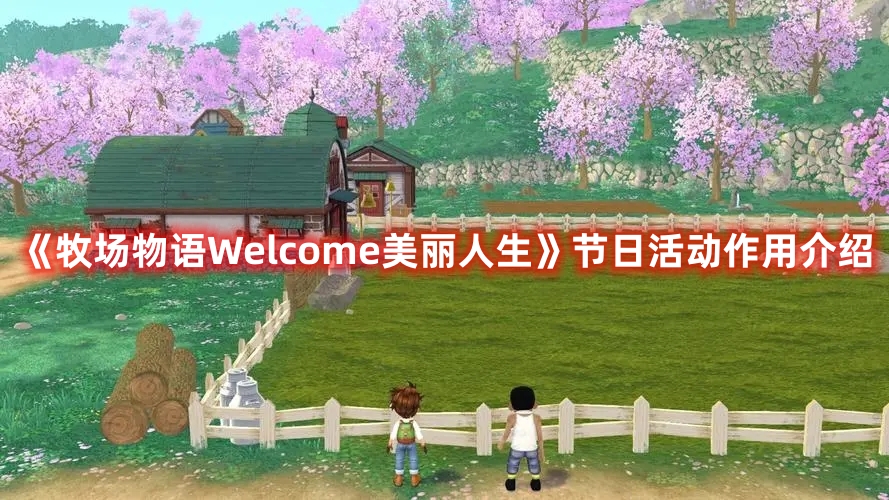 《牧场物语Welcome美丽人生》节日活动作用介绍