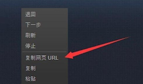 steam手机版个人链接在哪里查看和获取