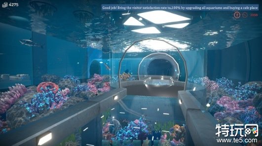 《水族馆长》Steam更新上线 好评水族馆经营模拟