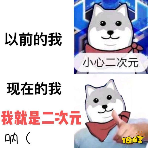 二次元SLG大有可为……吗？