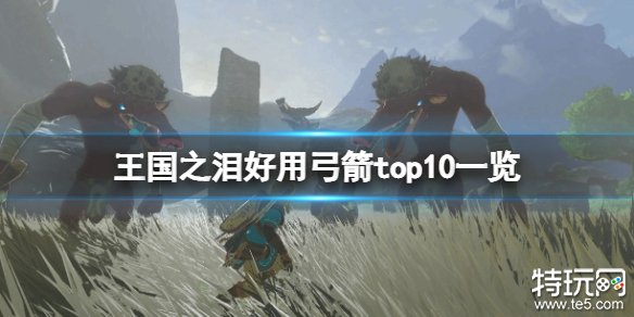 塞尔达传说王国之泪哪把弓箭最厉害 弓箭强度top10排行一览