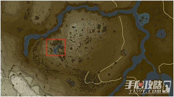 《塞尔达传说王国之泪》蜂蜜获取方法